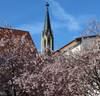 Quelle: Kirchengemeinde Walldorf